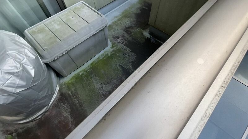 外壁塗装　リプルクリエイト　広島市　佐伯区　五日市　廿日市市　西区　ペイントライン　無機ハイブリッドチタンガード　ゼニス　レガロ　レジリエンスウレア耐久年数30年　40年　外壁洗浄　ヒビ　クラック　カビ　藻　ベランダ塗装　軒塗装　破風塗装　付帯部塗装　シーリング　シーリング打ち替え　外構塗装バイオ洗浄　高圧洗浄